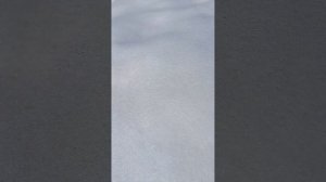 Обзор на зиму 2 часть возращение