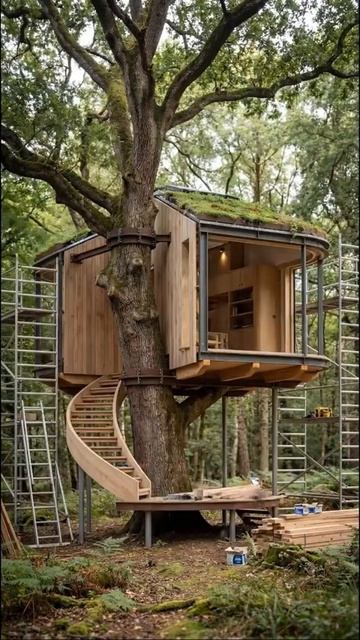 ДОМ НА ДЕРЕВЕ