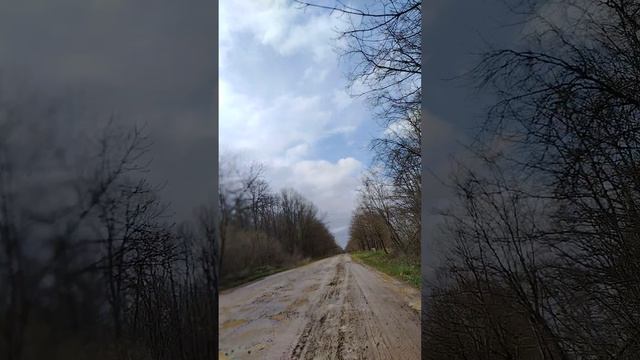 оброз квадрацикла