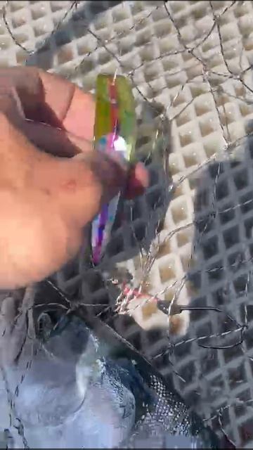 Горбуша на троллинговую блесну № 5 от Mr. Musurok