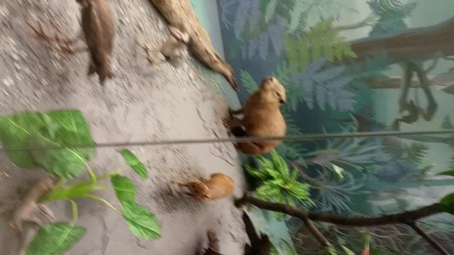 мы с классом на экскурсии