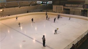 2014: Первенство СФО по хоккею среди юношей (день 3)