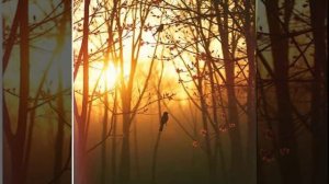 Я пришёл к тебе с приветом, 3+++++