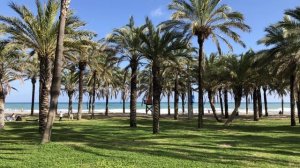 Испания. Малага ‘20. Начало