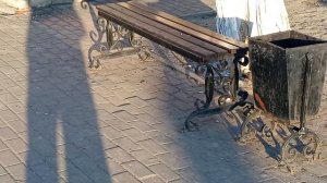 Голубь гуляет.  25-03-2026