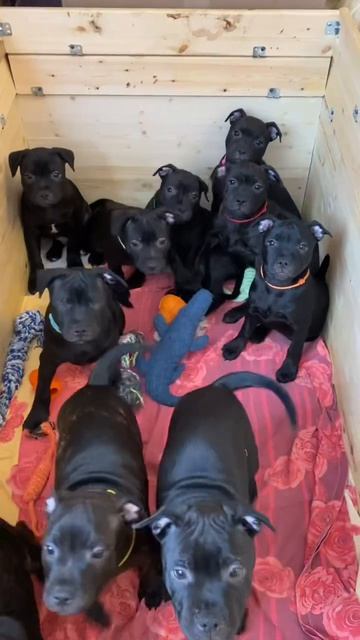 25 марта 2026 г.