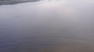 Уметь ловить рыбу это такое счастье 👍🤭😀