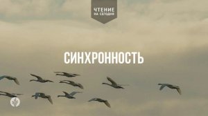 СИНХРОННОСТЬ  | АУДИО |	23	  апреля 2026