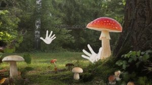 У грибов есть язык! И он матерный...🤣 Не уподобляйтесь грибам!🤣