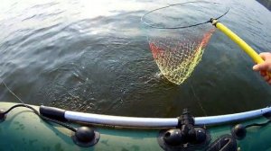 ПЕРВЫЙ РАЗ ПОШЕЛ НА ЛЕВО и вот что получилось. Ловля леща с лодки.река ВОЛГА.