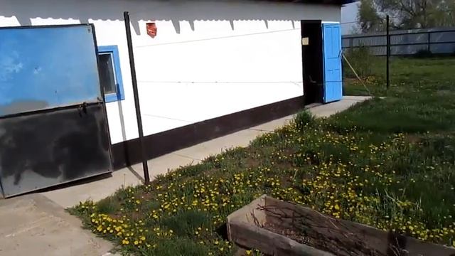 Продаю дом ул. Неверова 1, село.Золотуха Локтевский район, Алтайский край. Звоните +79039495791