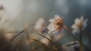 Немного нервно - Быстрее пуль (Cover)