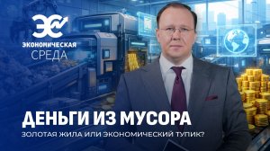 Деньги из мусора | Как в Беларуси зарабатывают на переработке? Экономическая среда