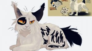 На конкурс мистера Пэтча