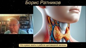 Борис Ратников - Что нужно знать о работе щитовидной железы.