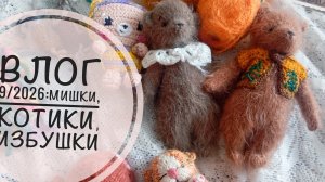 Влог 9/2026: мишки хозяева леса/спящий котик/плоские игрушки