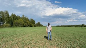 Яровой сев. Дисковая борона Catros + сеялка Citan