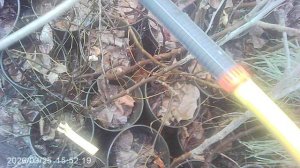 Полив саженцев в марте 2026