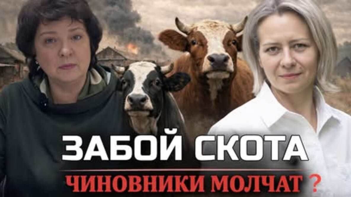 ЛЮДИ НА ПРЕДЕЛЕ _ЧТО ПРОИСХОДИТ _Анжелика Глазкова & Анна Левашова _В интересах Народа