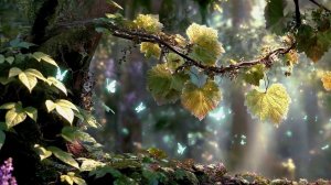 Прогулка по миниатюрному миру