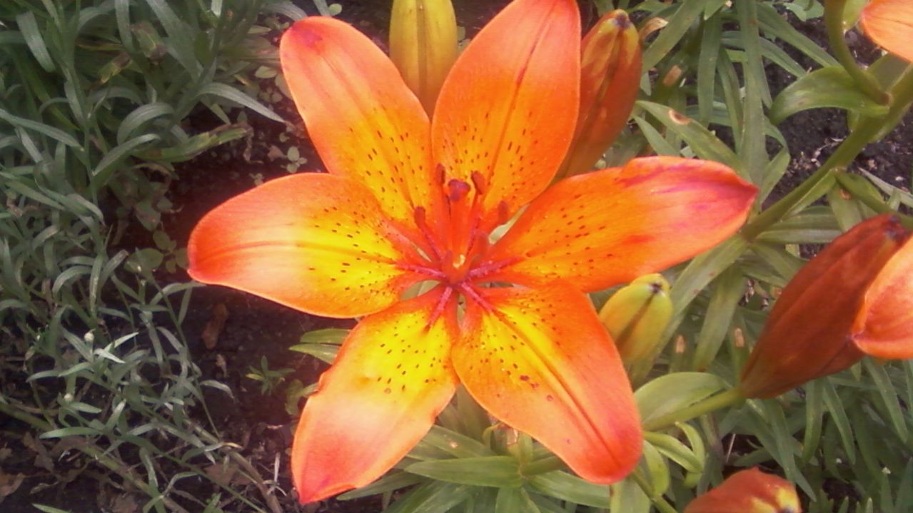 Натура - создано на сайте ТвойХит.рф стихи Е.Касаткиной.