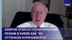 Азаров описал политический режим в Киеве как "40 оттенков коричневого"