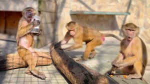 У Степы - БАНКОМАТ! Люся - девушка с БРЕВНОМ! Силища богатырская! Мане сидеть на бревне не положено!