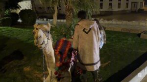 The Grand Hotel Sharm El Sheikh 5* Обзор отеля . Переезд во второй отель.