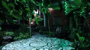 Вечер,тишина и цикады