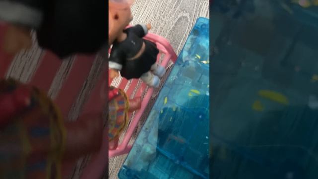 Школа 🏫 лол