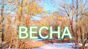 Звуки и краски марта:дыхание природы