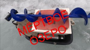 Последний  лёд МАРТА - 2026 обошёл весь пруд впустую  но  видео показала правду РЫБЫ НЕТ .