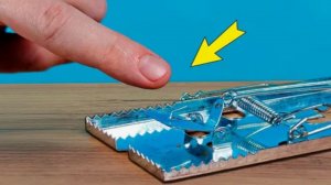 ЧТО БУДЕТ ЕСЛИ СУНУТЬ ПАЛЕЦ В МЫШЕЛОВКУ