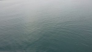 В Эйра фиорде