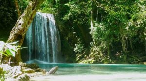 Водопад: мелодия умиротворения  «Струи гармонии: музыка водопада»  Водопад — дыхание свежести