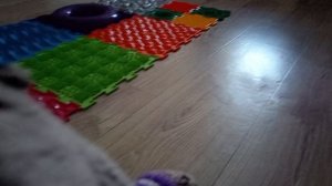 †БА~СЯ~ТА†БАСИКИ играют в прятки??? Первое видео