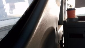 племя вернулась домой