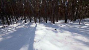 Часть 55. Пододеяльный монстр и названный гость на террасе