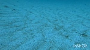 море оживает после зимы