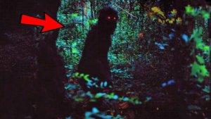 ЖУТКАЯ ПОДБОРКА МИСТИЧЕСКИХ ВИДЕО. ПАРАНОРМАЛЬНОЕ. Мистика. Реальные кадры