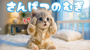 Офисный котик Муги】Лохмато, ня!? Репортаж из жизни Муги, который подстригся в парикмахерской 🐱✂️