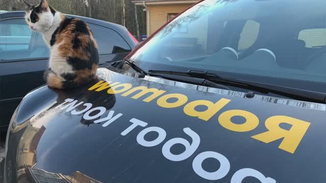 Робот газонокосилка Robomow RK1000. Практический пример планирования зон кошения и запуска робота.