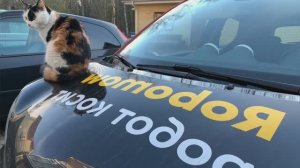 Робот газонокосилка Robomow RK1000. Практический пример планирования зон кошения и запуска робота.