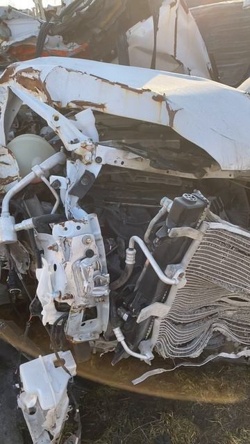 Тиго4Про23 51