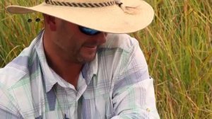 Ловля нахлыстом. Как ловят нахлыстом в Америке форель.