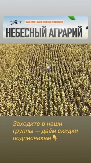 Небесный Аграрий