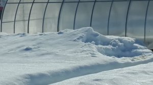 Мой сад, последние деньки марта