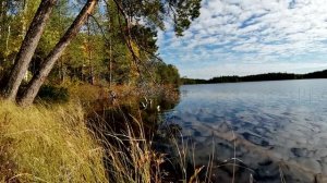 Дорога на Север