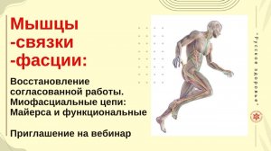 Мышцы -связки -фасции: Восстановление согласованной работы. Миофасциальные цепи. вебинар