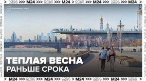 Синоптик сообщил, что погода в Москве обгоняет климатический календарь на месяц - Москва 24